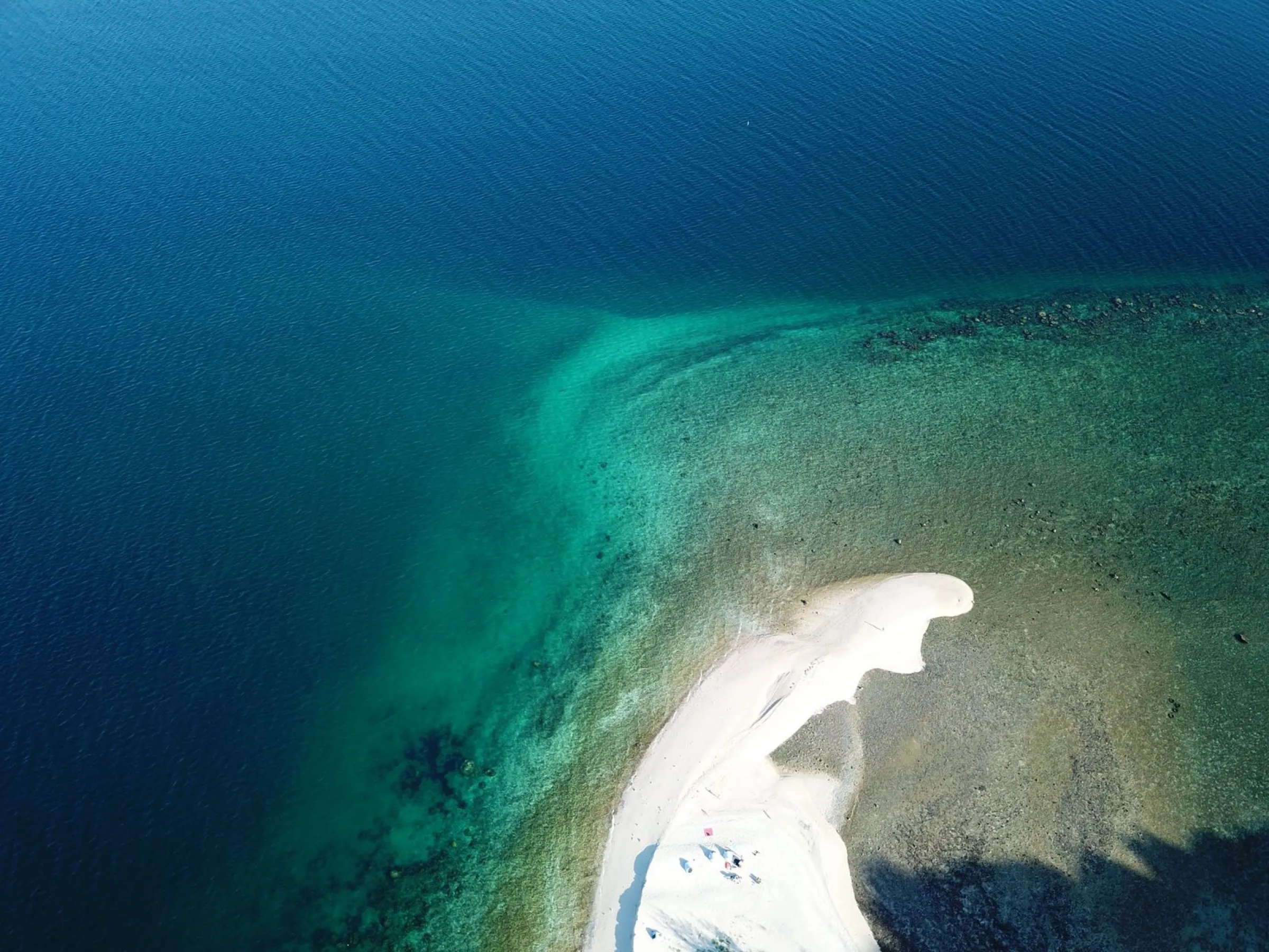 Aerial of a coral sandbar fading from white sand into turquoise and deep blue water.
